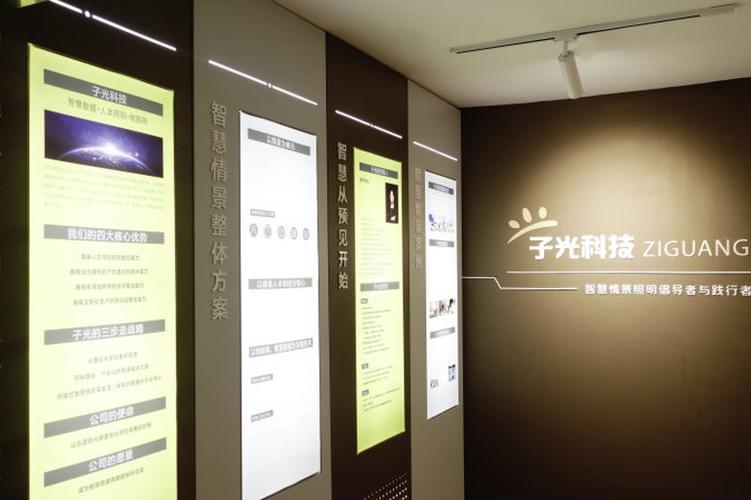 上海子光信息科技